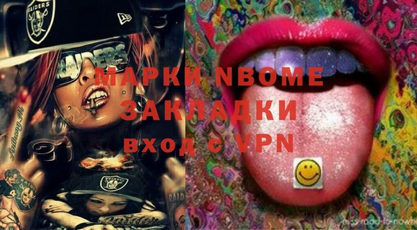 индика Балахна