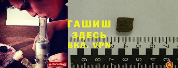 индика Балахна
