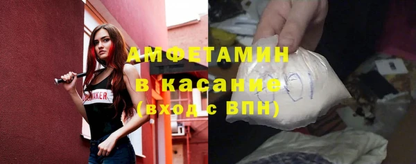 индика Балахна