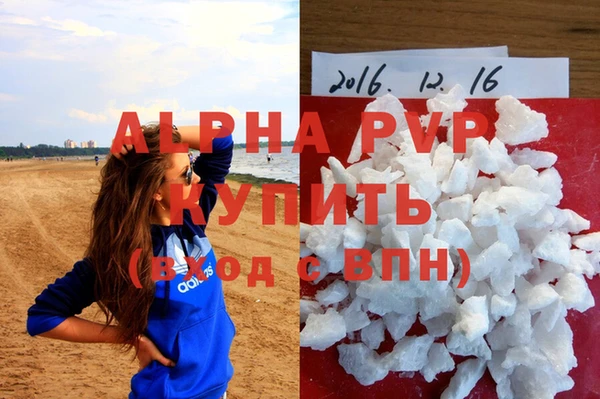 индика Балахна