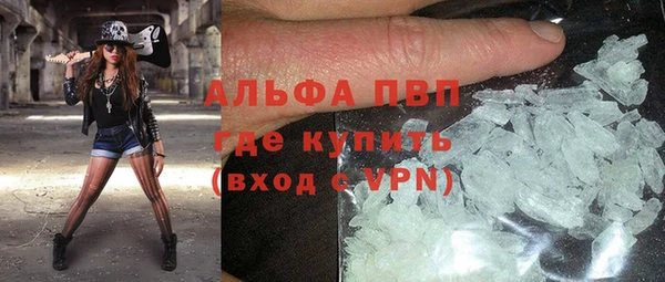 прущие грибы Балабаново