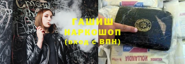 индика Балахна