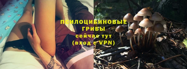 гашик Баксан