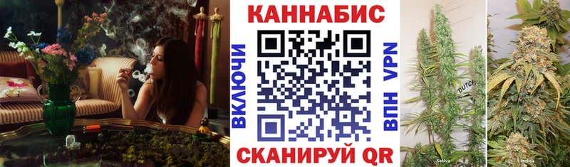 Бошки Шишки сатива  Черепаново 